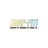 Snap-Fit